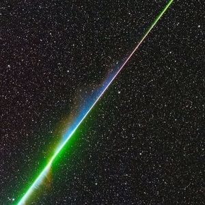 Meet your Posher, Charley